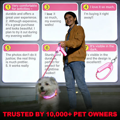 LED Dog Leash No Waves, No Heat, Just Light Night Walks Shouldn’t Be Dangerous.