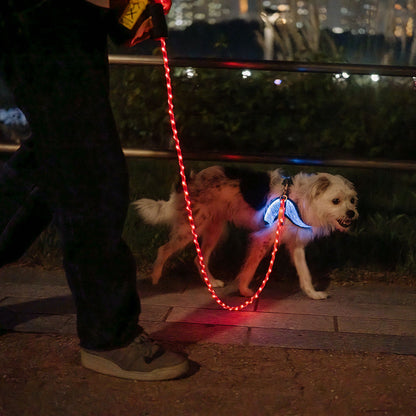 LED Dog Leash No Waves, No Heat, Just Light Night Walks Shouldn’t Be Dangerous.