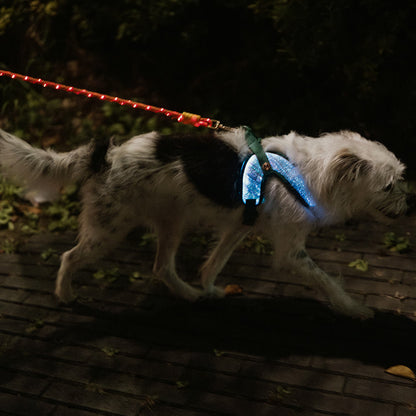 LED Dog Leash No Waves, No Heat, Just Light Night Walks Shouldn’t Be Dangerous.